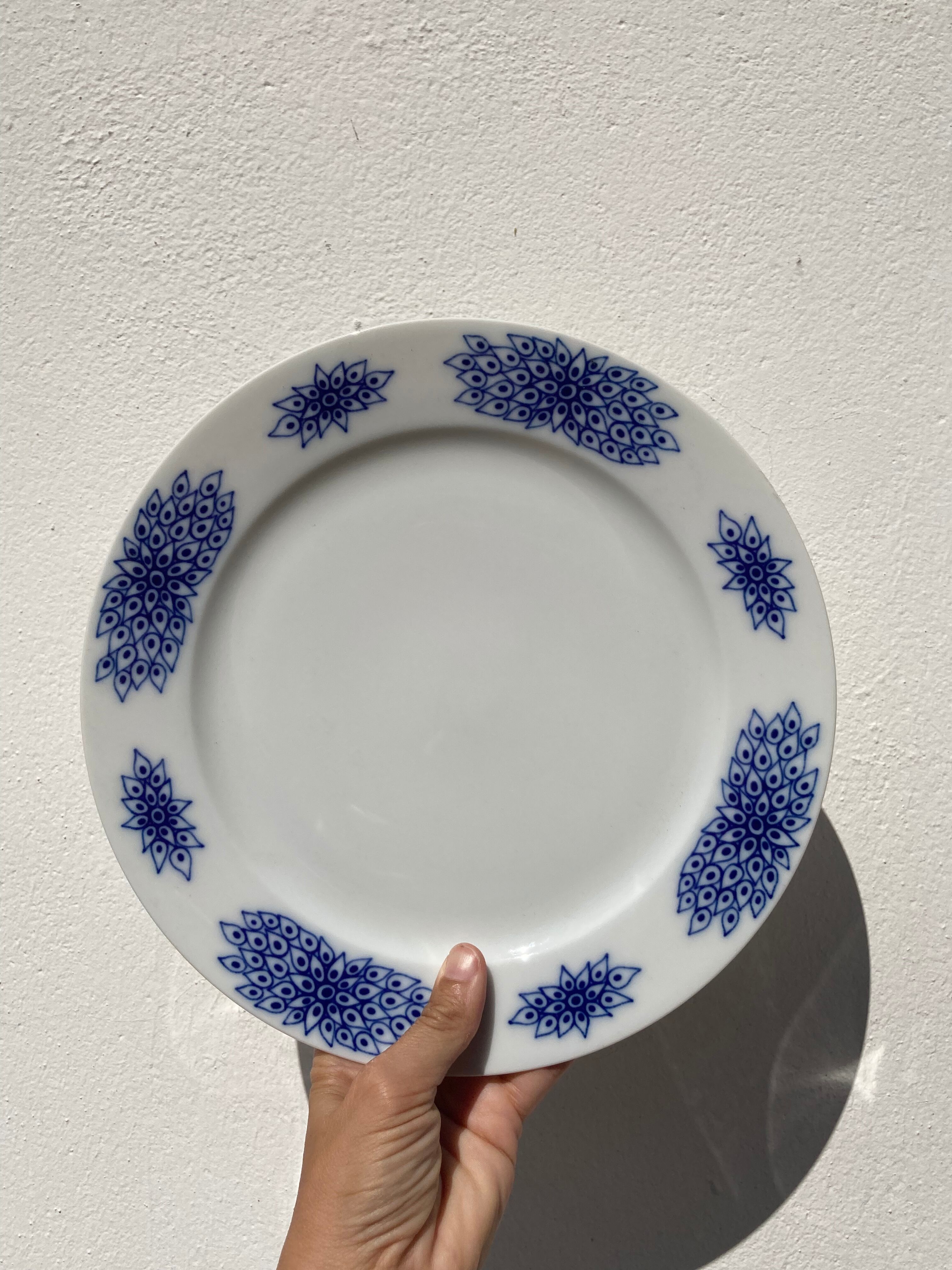 Service 8 personnes allemand bleu assiettes avec une soupière