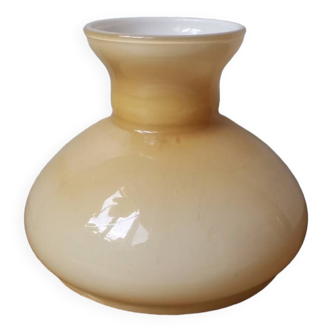 Globe de lampe abat jour vintage opaline