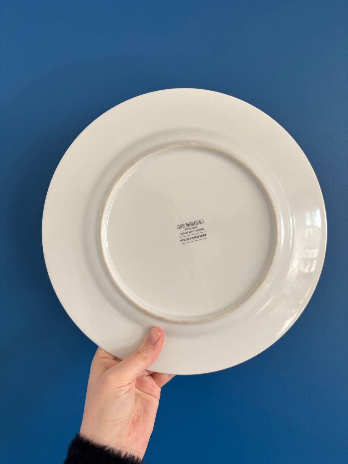 Set of 8 large Guy Degrenne flat plates, vintage green pareo model