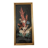 Cadre fleurs séchées