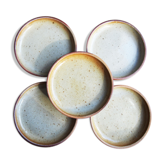 5 small plates in sandstone