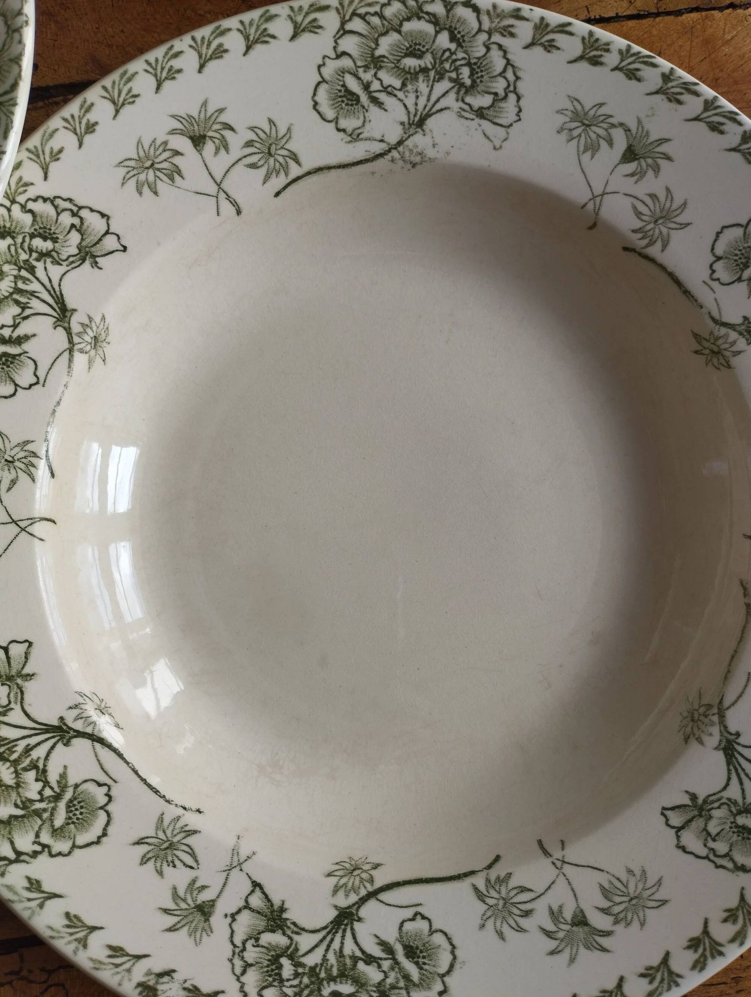 « Palmyre » - 6 assiettes creuses terre de fer Sarreguemines