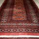 Tapis Vintage Boukhara en Laine, Années 1960, Authenticité et Tradition
