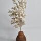 Antique white coral on turned wooden base, 25 cm