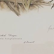 Paire de lithographies originales signées au crayon Gail Denise Darroll