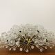Dandelion Wall or Ceiling Lamp by Emil Stejnar for Rupert Nikoll