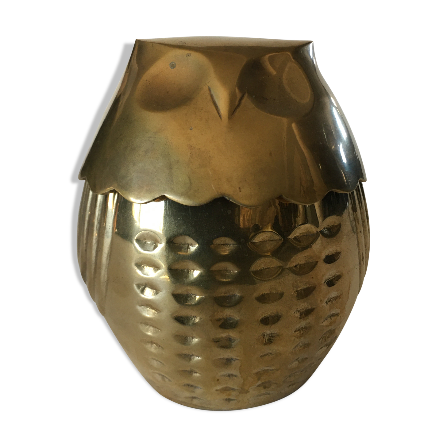 Empty box pockets owl