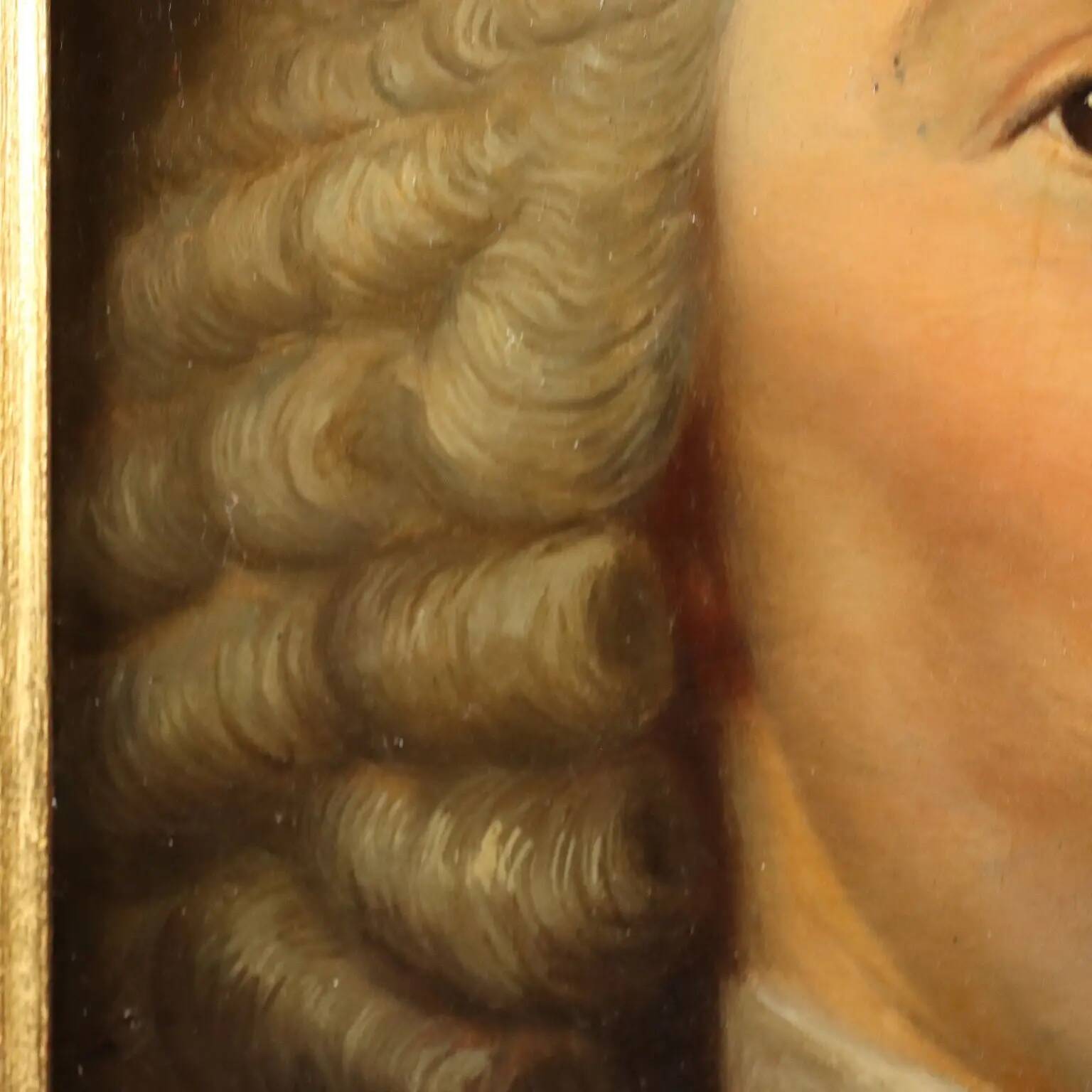 Ancient painting, portrait of Petrus Camper, oil on panel, 18th century.