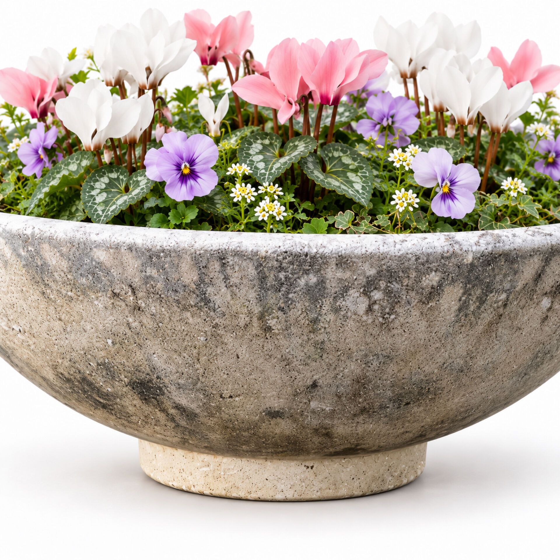 Large antique cement planter