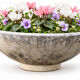 Large antique cement planter