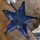 Starfish pocket emptier