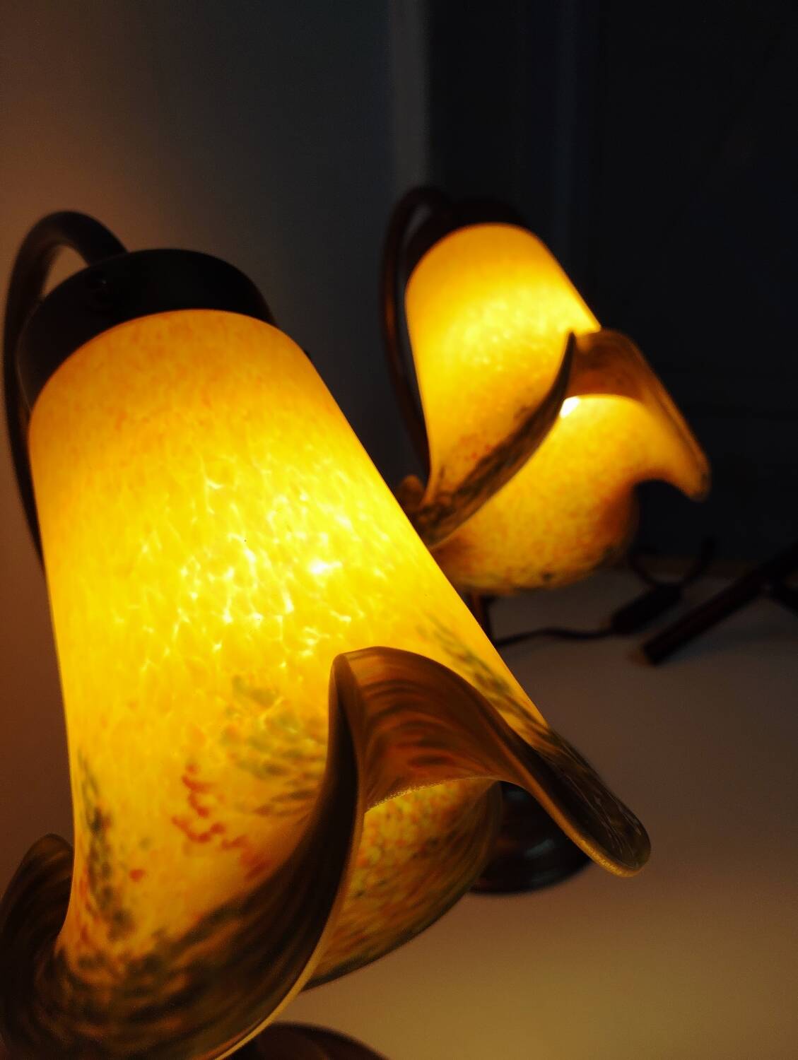 Pair of tulip swan neck bedside lamps in glass paste