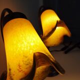 Pair of tulip swan neck bedside lamps in glass paste