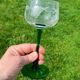 Antique engraved glasses