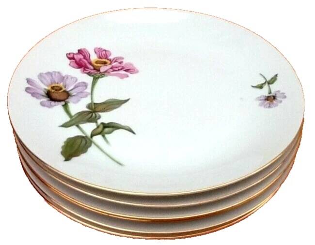 6 Bohemian Fine Porcelain Dinner Plates