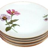 6 Bohemian Fine Porcelain Dinner Plates