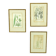 Set of 3 copperplate engravings from the famous book "Flora Batava, 1807"-1814