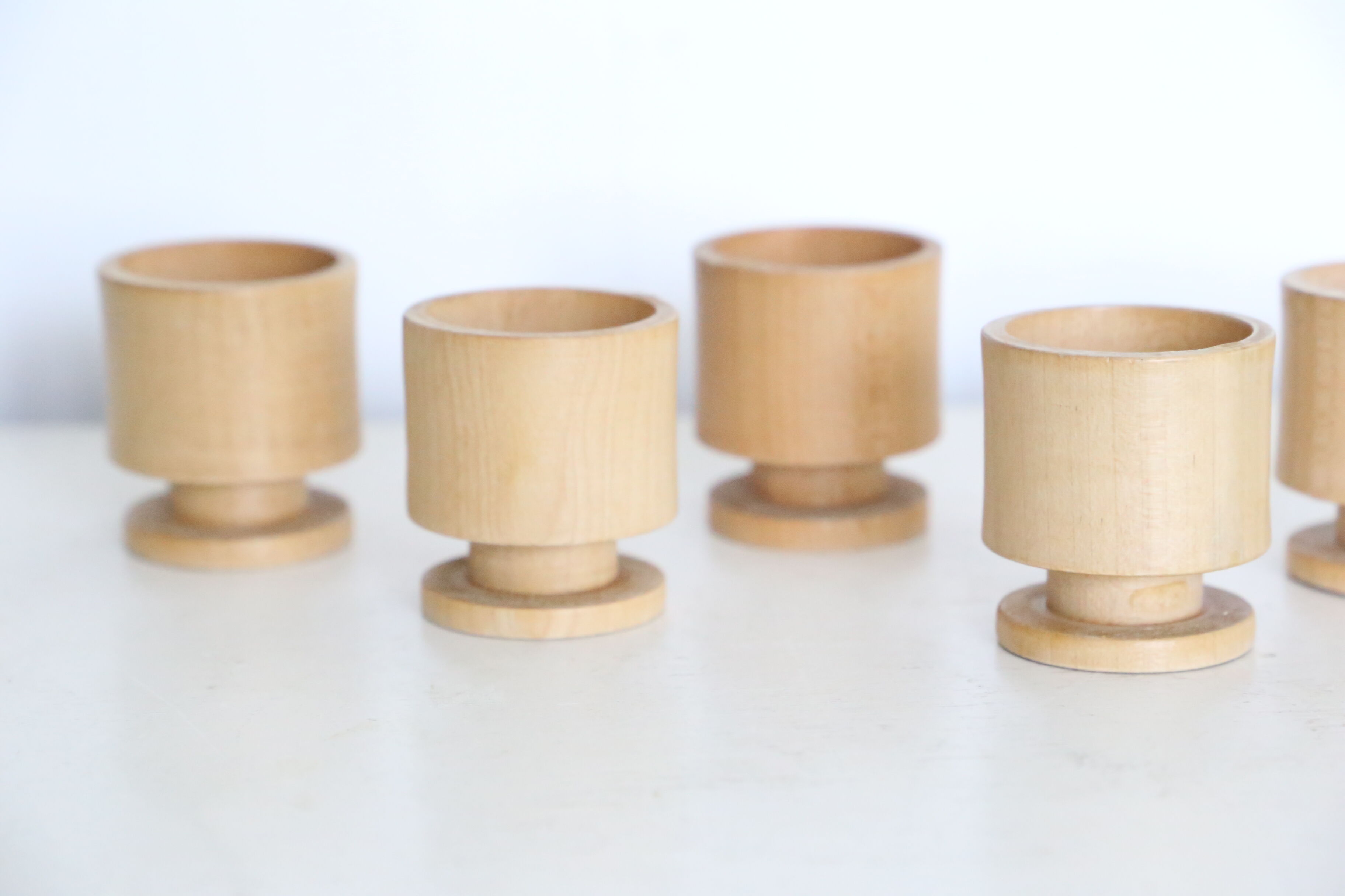 Set of 5 cockroaches on their wooden, vintage support