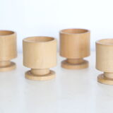 Set of 5 cockroaches on their wooden, vintage support