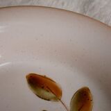 Lot 12 hollow plates in varnished sandstone, Cévennes model of Saint Amand