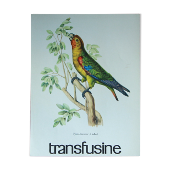 Bird lithograph poster