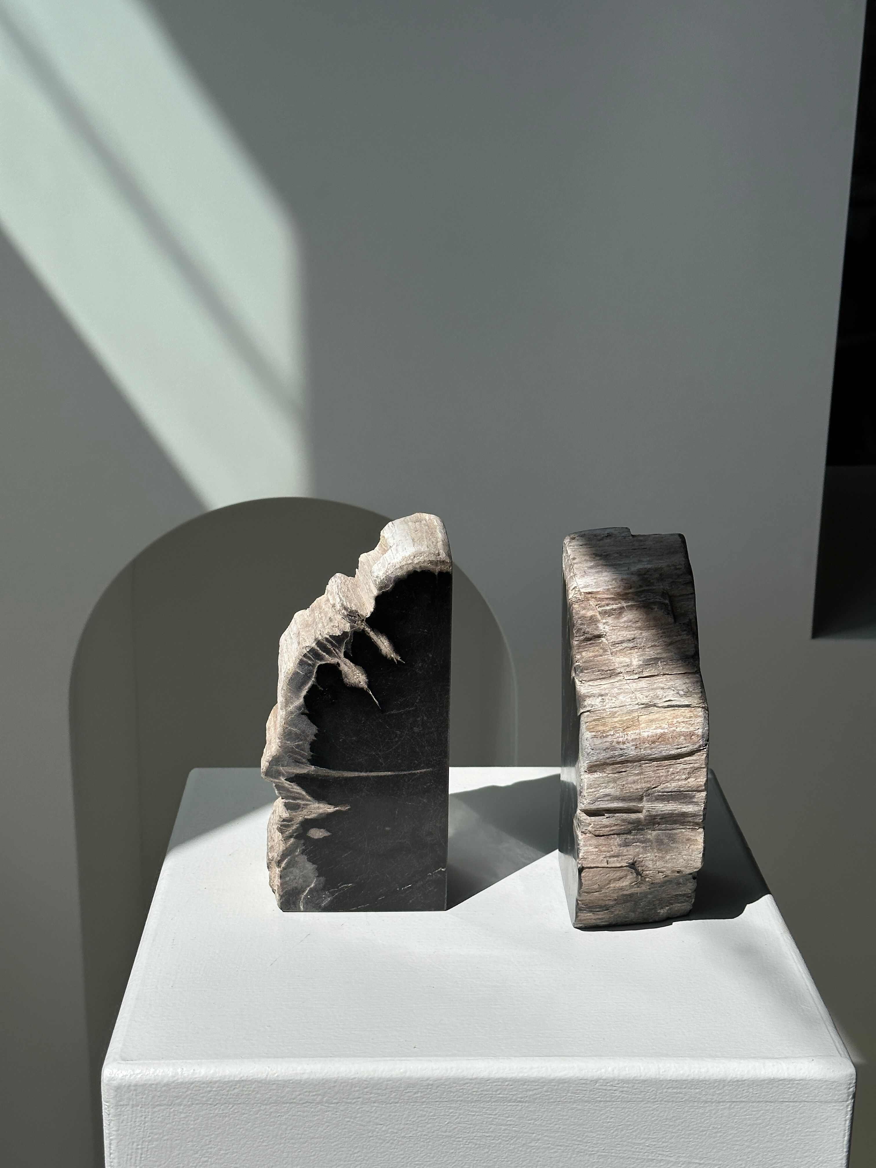 Black petrified wood bookend H17 L17 P6