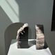 Black petrified wood bookend H17 L17 P6