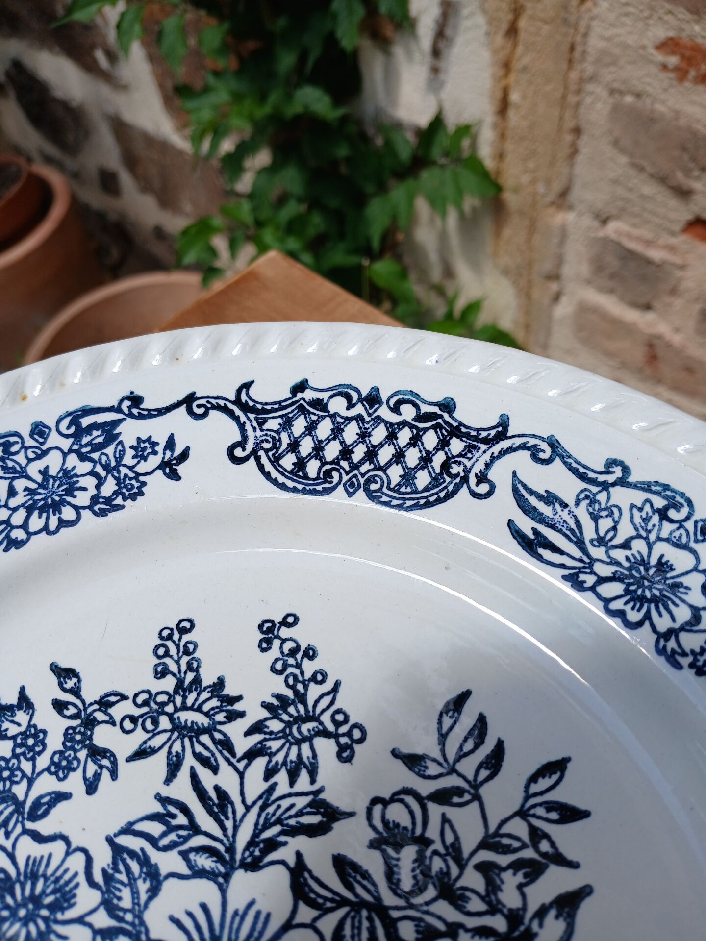 6 antique dinner plates