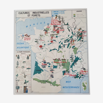 Ancienne affiche scolaire vintage années 60 carte de France mdi cultures et forêts roses