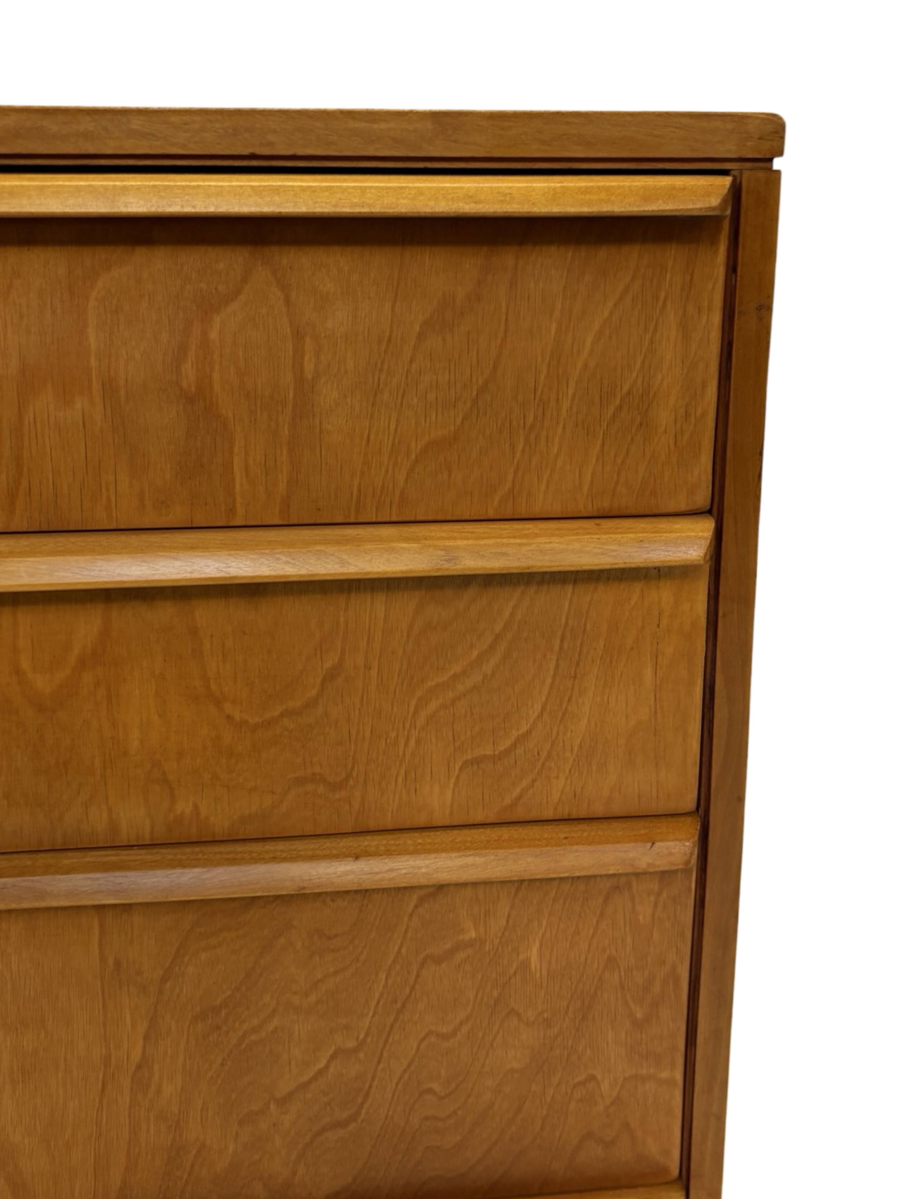 Vintage Pastoe Chest of Drawers Cees Braakman CB05 Dutch Design