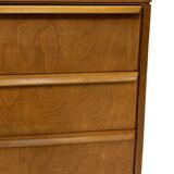 Commode à tiroirs vintage Pastoe Cees Braakman CB05 Dutch Design