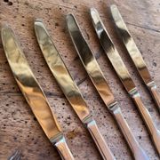 Lot de 6 couteaux Guy Degrenne