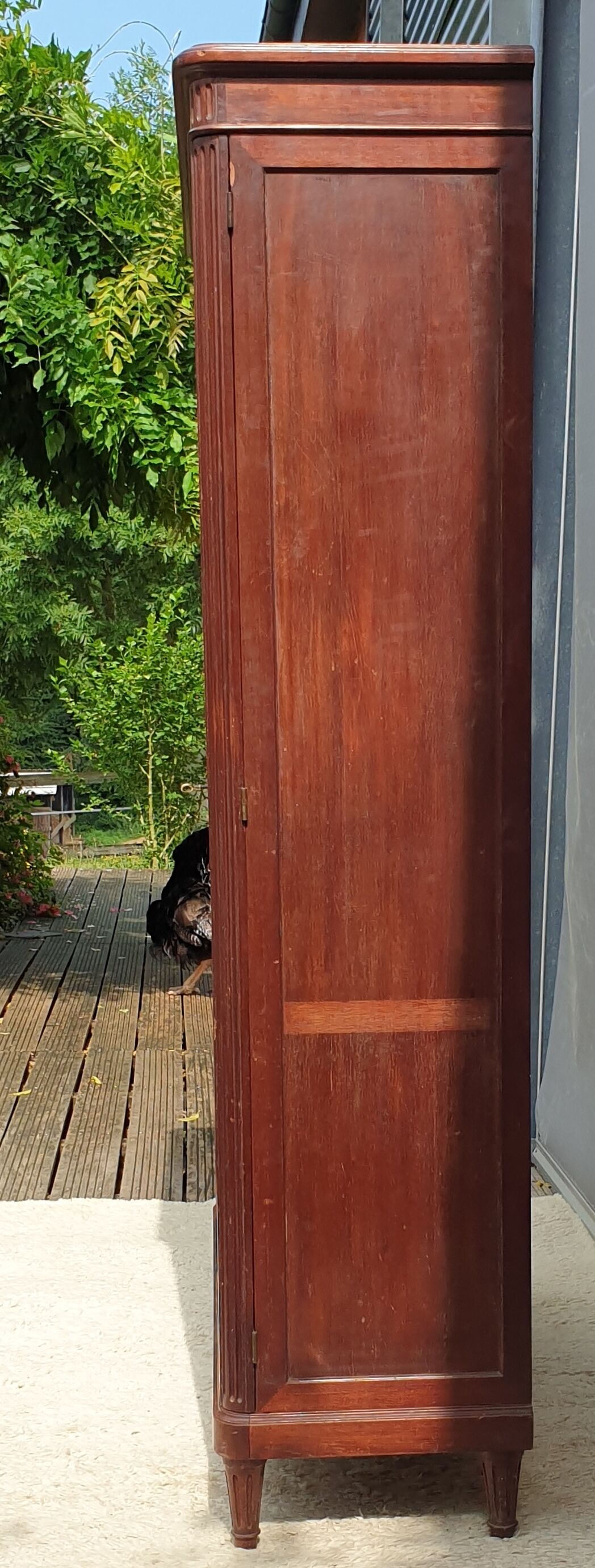 Mahogany library showcase Louis XVI style