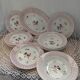 12 plates + 1 Digoin and Sarreguemines dish