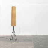 German floor lamp in metal and plastic by Hesse Leuchten, 1960s.