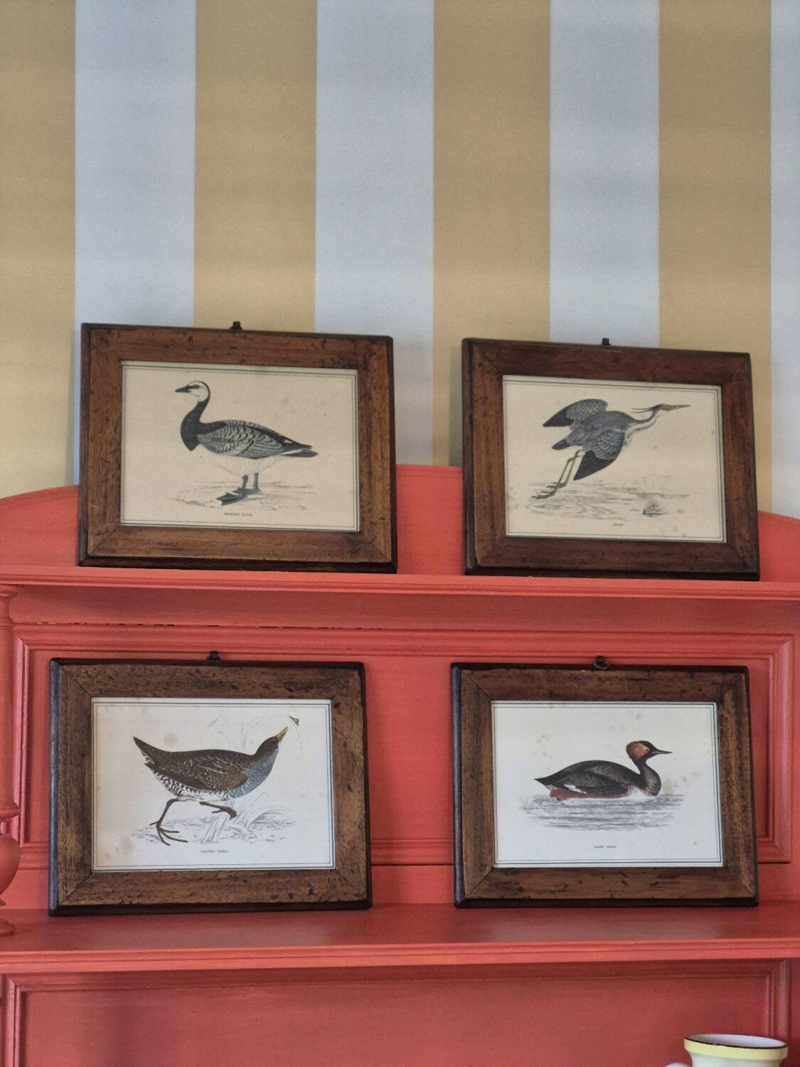 Bird frames