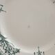 4 dessert plates in Saint Amand iron earth