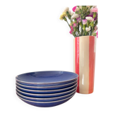 Lot de 6 assiettes creuses bleues
