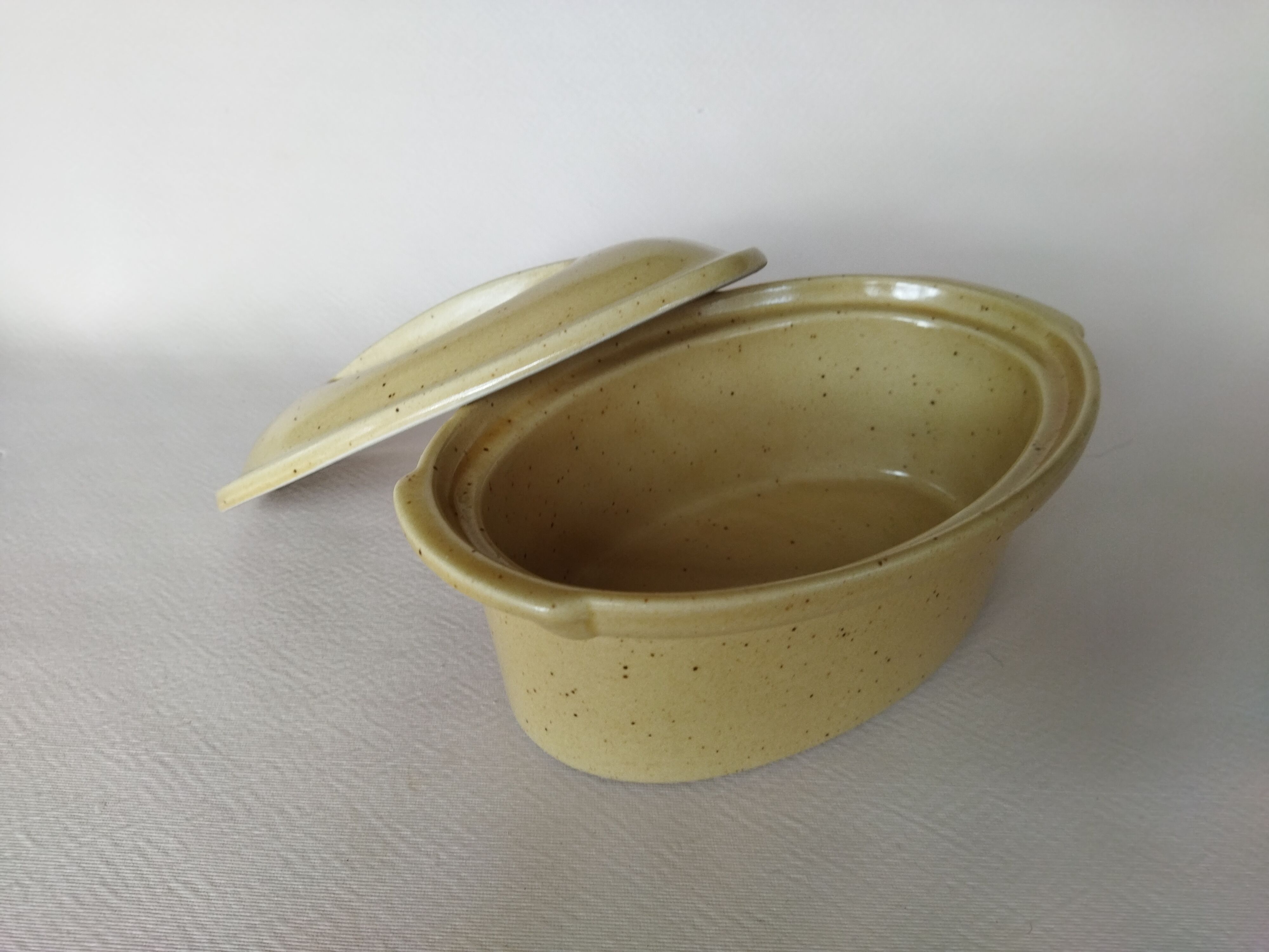 Digoin sandstone terrine