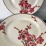 11 dessert plates Saint Amand Terre de Fer, 1930