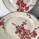 11 dessert plates Saint Amand Terre de Fer, 1930