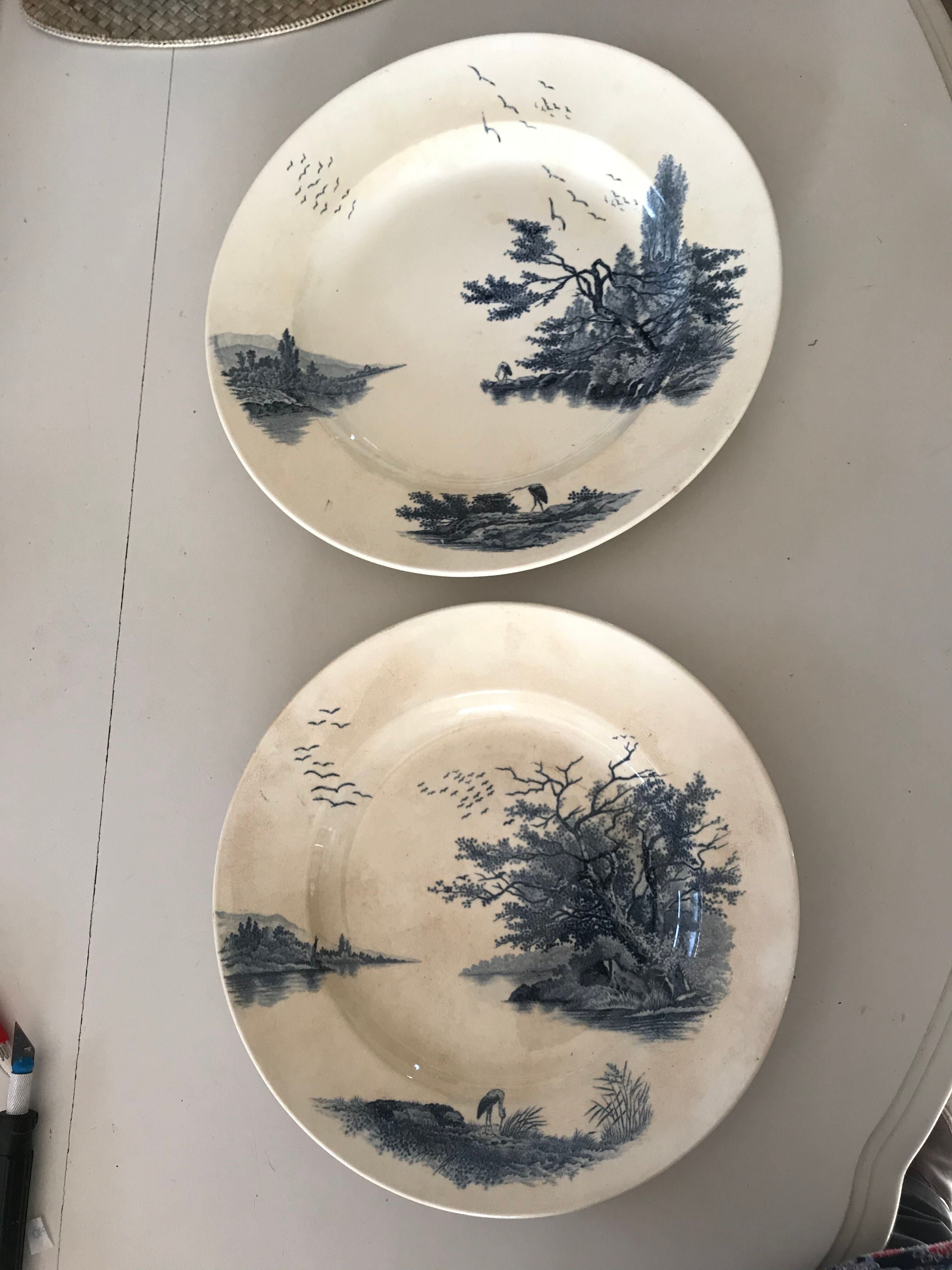 Two iron earth dishes