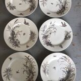 6 porcelain dessert plates with gold medals, exp 1867 1978, birds