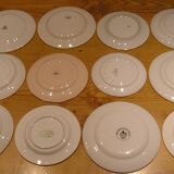 Set of 12 different flat plates
