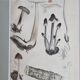 Two old engravings of watercolor mushrooms nineteenth century after G. Bernard