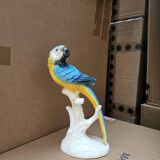 Parrot