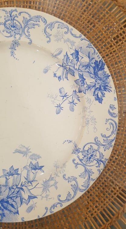 Plate in Iron Earth model Campanula