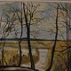 Paysage avec arbres par Harry Sahlin