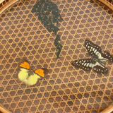 Rattan butterfly tray and coasters