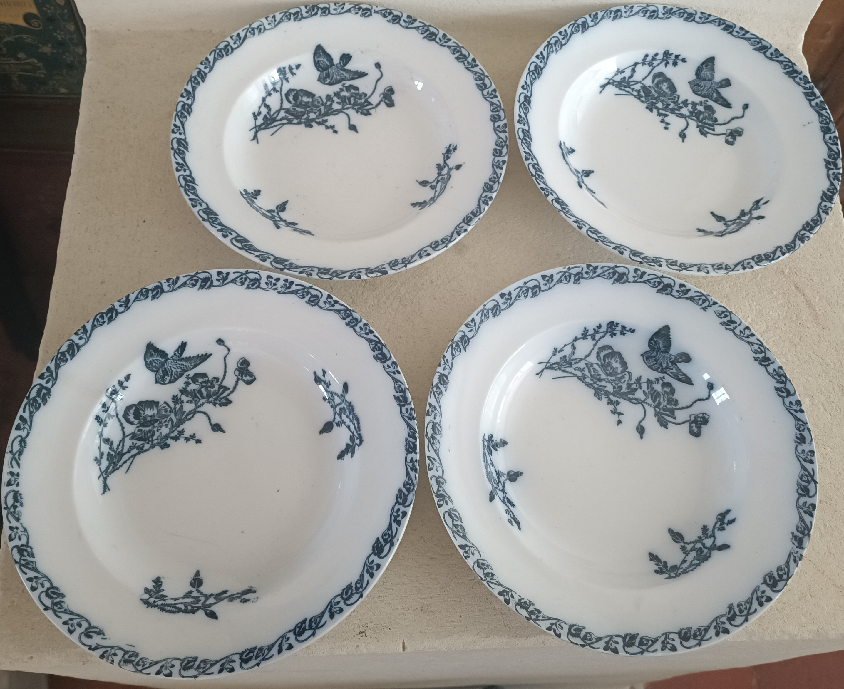 Onnaing iron earth service, plates, salad bowl and sausage maker